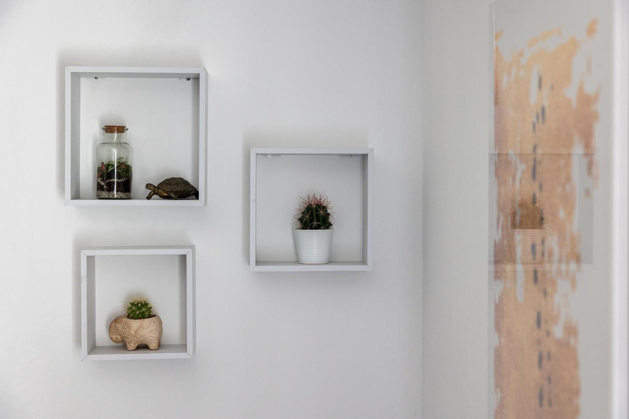 Dubrovnik Domus Apartment Extérieur photo